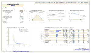 VBA free Demographic Dashboard